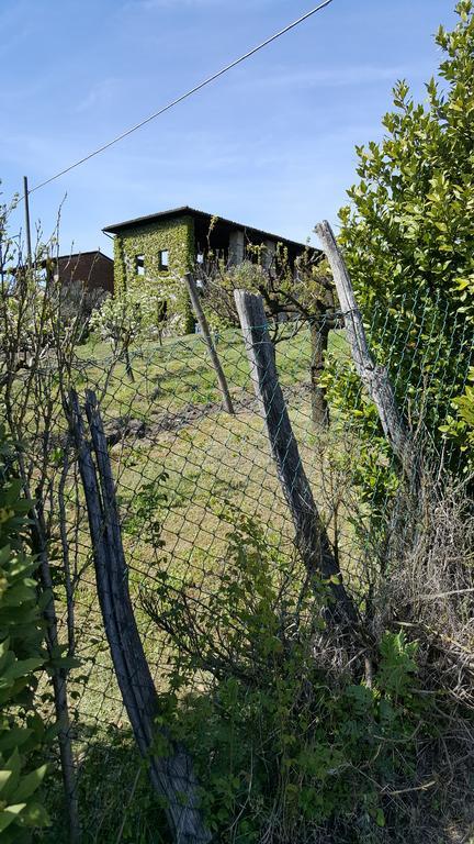 La Torretta - Cerreto Grue Bed and Breakfast Sarezzano Exterior foto